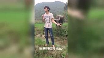 在线国产啪啪福利视频,激情瞬间，独家放送