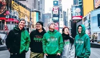 国产在线无遮挡动态图,揭秘国内创意视觉盛宴