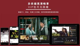 国产无限资源在线看片,无限资源在线看片平台深度解析