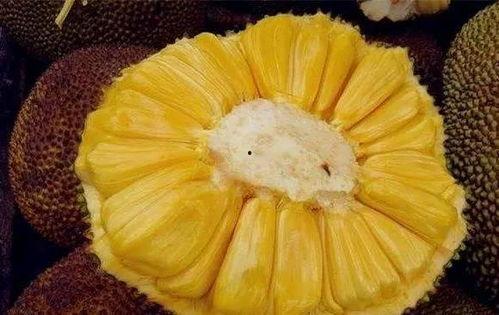 国产原创菠萝蜜在线,甜蜜滋味，传承匠心