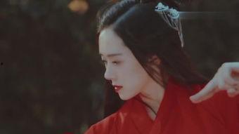 在线观看古装国产,探寻古装国剧的魅力之旅