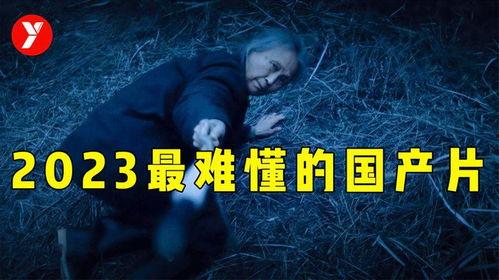 国产电影小说在线看